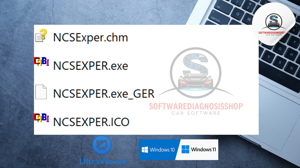 Anteprima prodotto SoftwareDiagnosiShop
